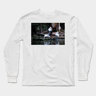 Call That A Take Off! Long Sleeve T-Shirt